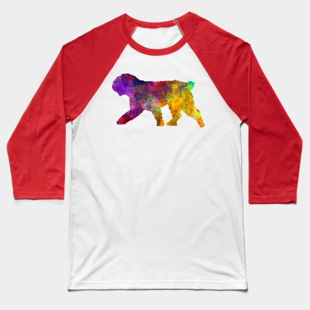 Spanish Water Dog in watercolor Baseball T-Shirt by PaulrommerArt